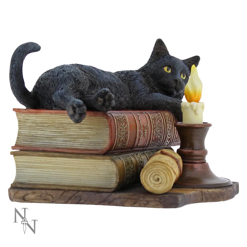 Nemesis Now - The Witching Hour Figurine - Multicolore
